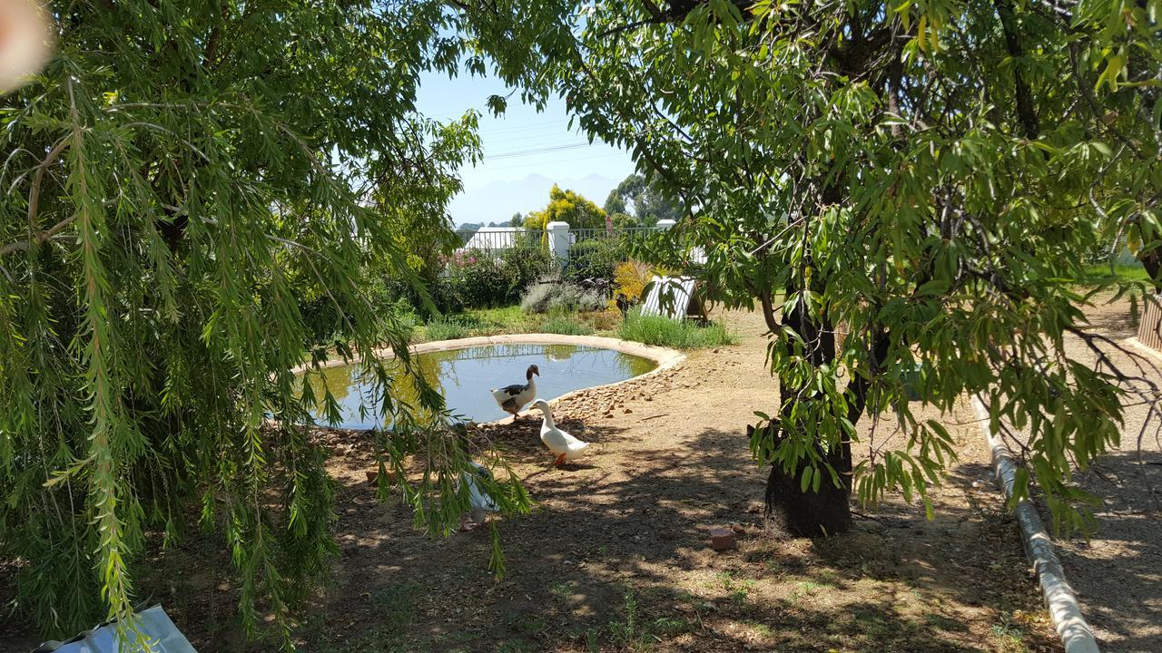 Merindol Manor Riebeek-West ภายนอก รูปภาพ